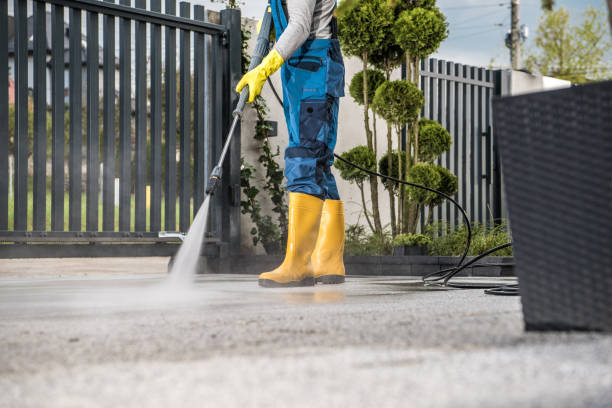 Best Pressure Washing Company Near Me  in Williamsburg, VA