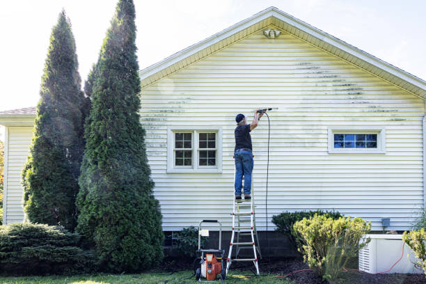 Local Pressure Washing Services in Williamsburg, VA