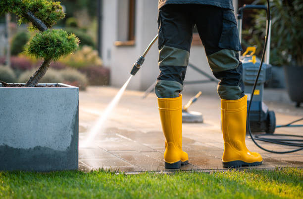 Best Best Pressure Washing Companies  in Williamsburg, VA